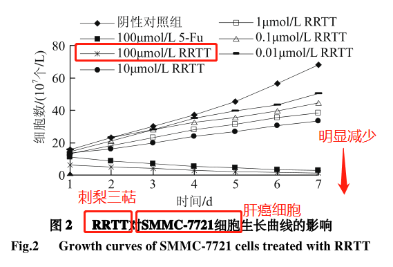 自由基——人体健康和衰老的最大元凶！