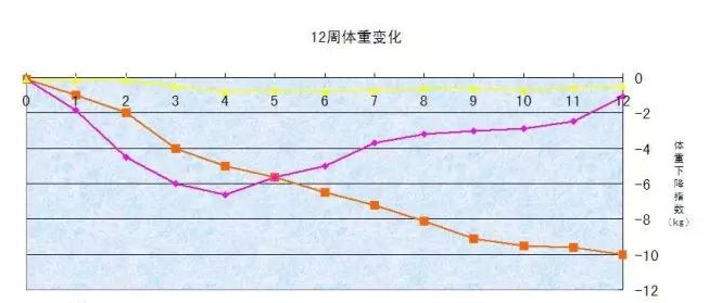 减脂酵素加工厂家|体重管理千亿市场，什么产品才能脱颖而出