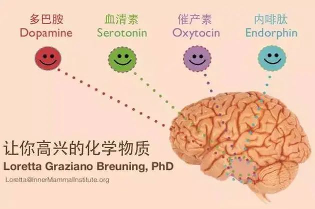 “肠肥脑满”新注解，肠道与大脑有什么关系 ？