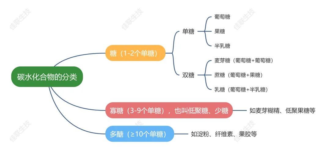 食品营养中的“糖”，与你想象的不一样！