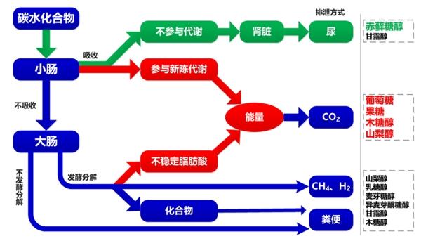 佳联生技集团|代糖热门原料——赤藓糖醇