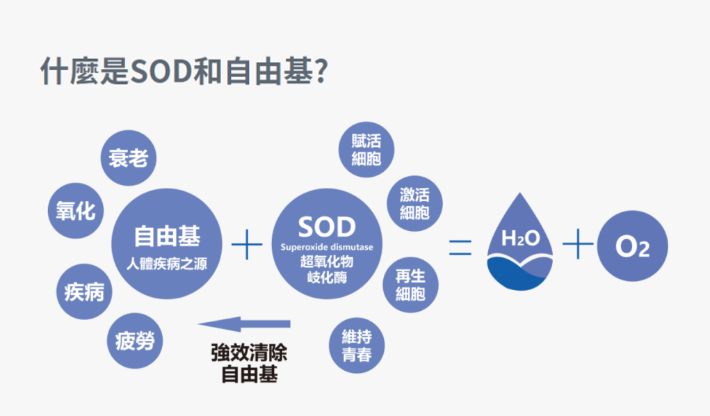 SOD | 保持年轻健康的活力之源！