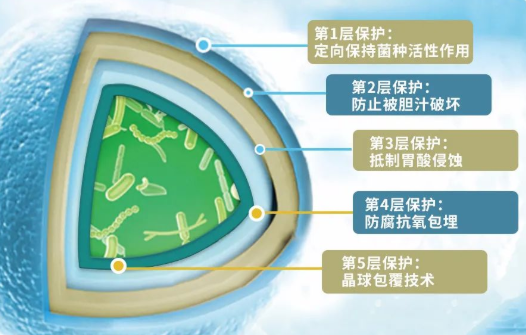 益生菌代加工厂|“腹泻株”来了，日常养护很重要，别让肠道措手不及！