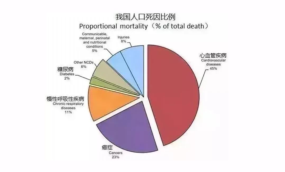 酵素代加工｜科普心血管现状与市场前景