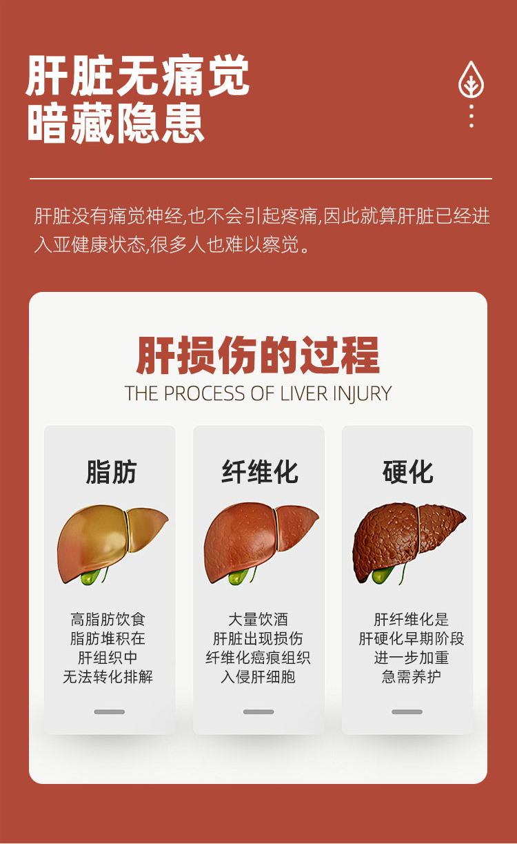 本姜酵素饮 凤梨酵素 人参酵素  贴牌代加工