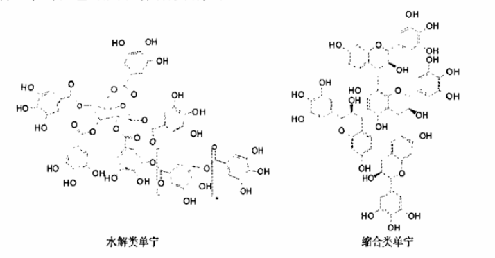 创新突破｜佳联生技新增刺梨发酵专利