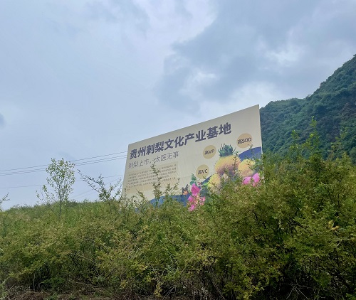 刺梨酵素代加工厂在哪里?佳联生技以刺梨酵素RRTf破困局 刺梨酵素代加工厂在哪里?佳联生技以刺梨酵素RRTf破困局