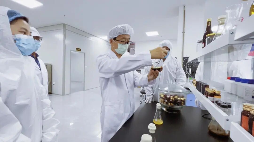 喜报∣佳联入选贵州遵义2025年市级龙头企业 喜报∣佳联入选贵州遵义2025年市级龙头企业