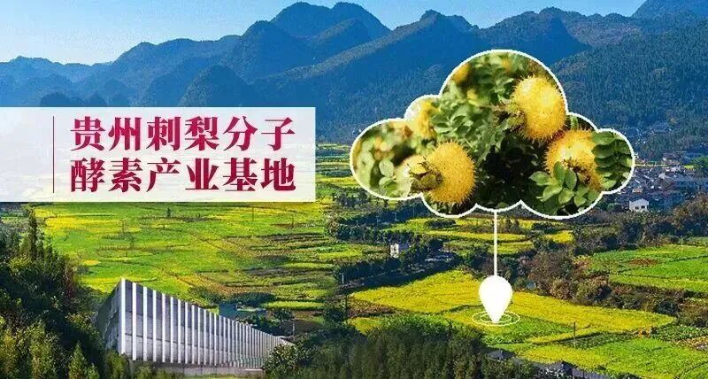 喜报∣佳联入选贵州遵义2025年市级龙头企业 喜报∣佳联入选贵州遵义2025年市级龙头企业