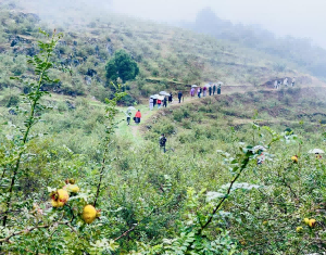 刺梨酵素代加工厂|当十家工厂都说自己最好，我该信谁？