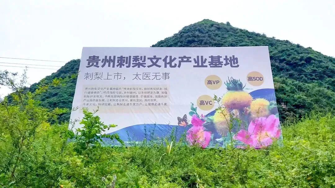  绿智造・酵健康｜佳联生技再添“绿色工厂”荣誉