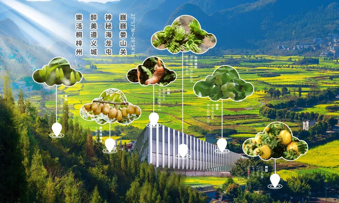  绿智造・酵健康｜佳联生技再添“绿色工厂”荣誉