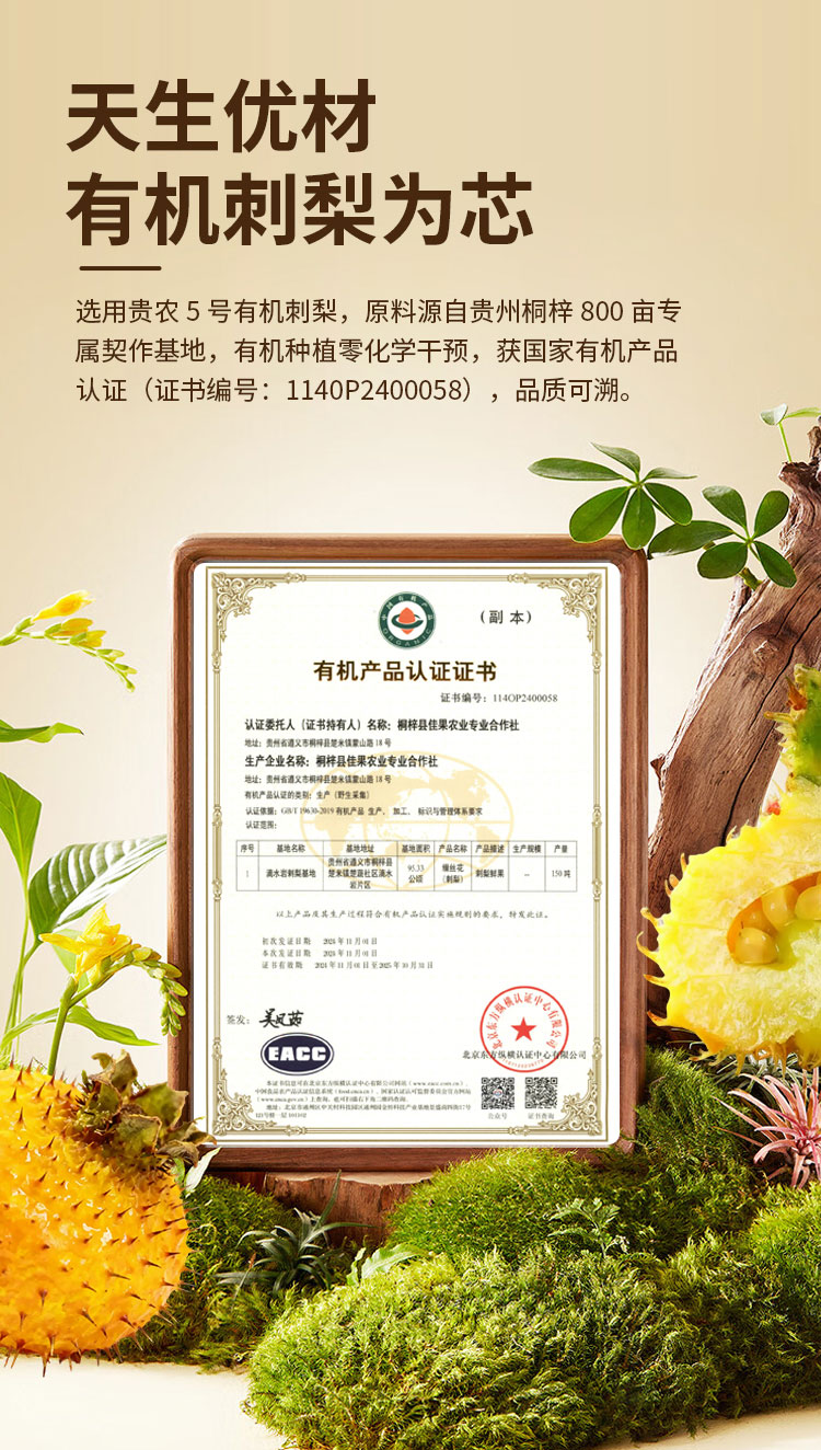 刺梨优纤粉固体饮料 功能食品代工贴牌