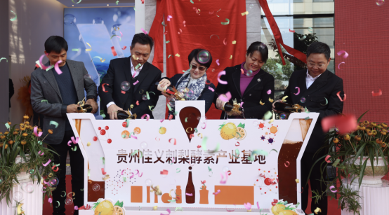 RRTf起点——把刺梨带入发酵健康体系 RRTf起点——把刺梨带入发酵健康体系