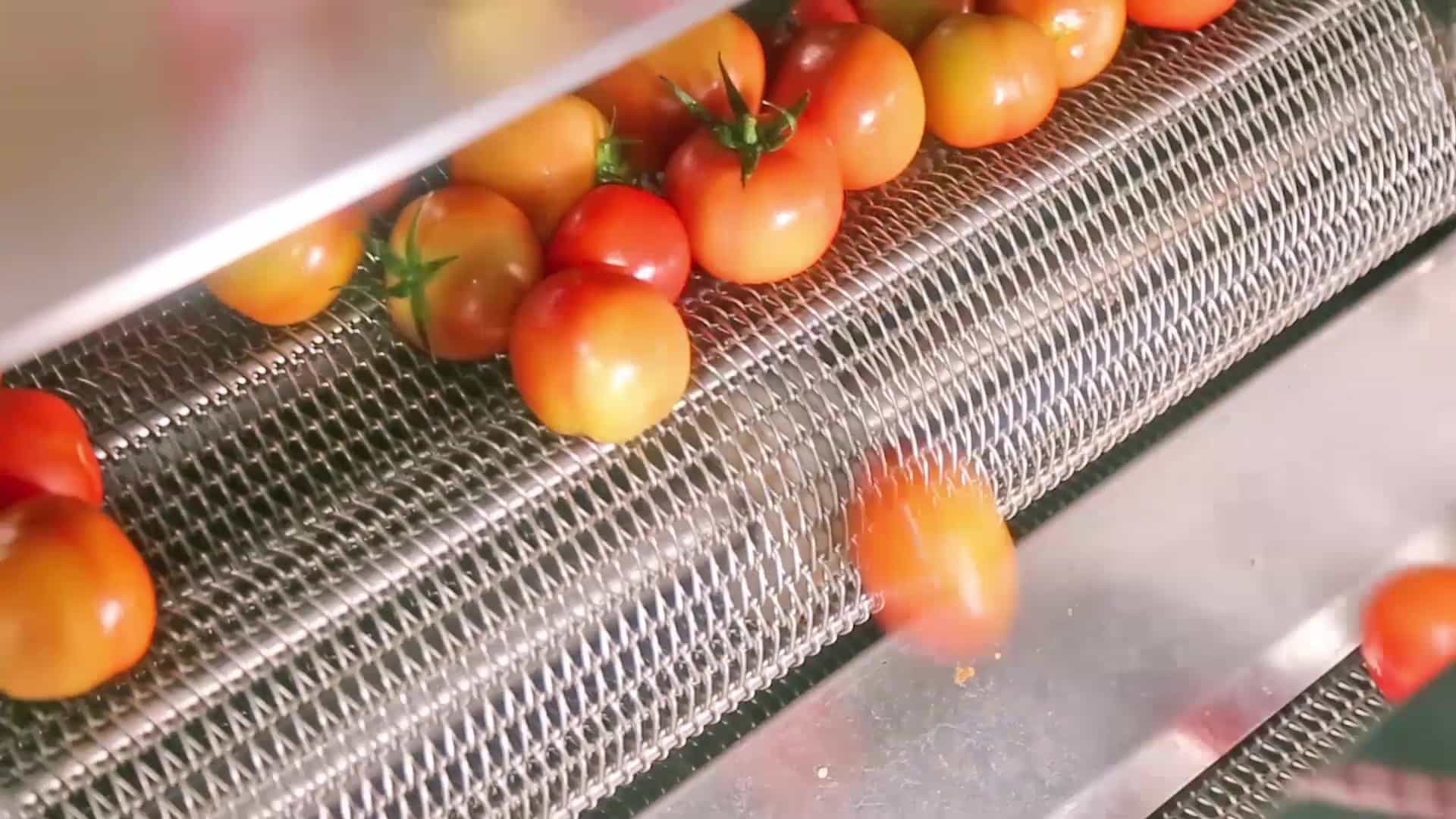 酵素液厂家代工有何前景和优势？