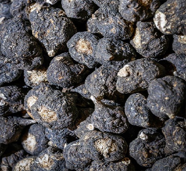 酵素代加工|热门原料为男生养生注入新活力！