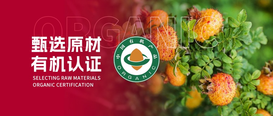 喜报｜佳联生技刺梨基地荣获有机认证